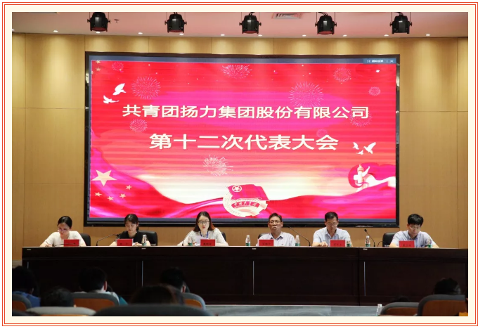 共青團揚力集團股份有限公司第十二次代表大會圓滿召開！